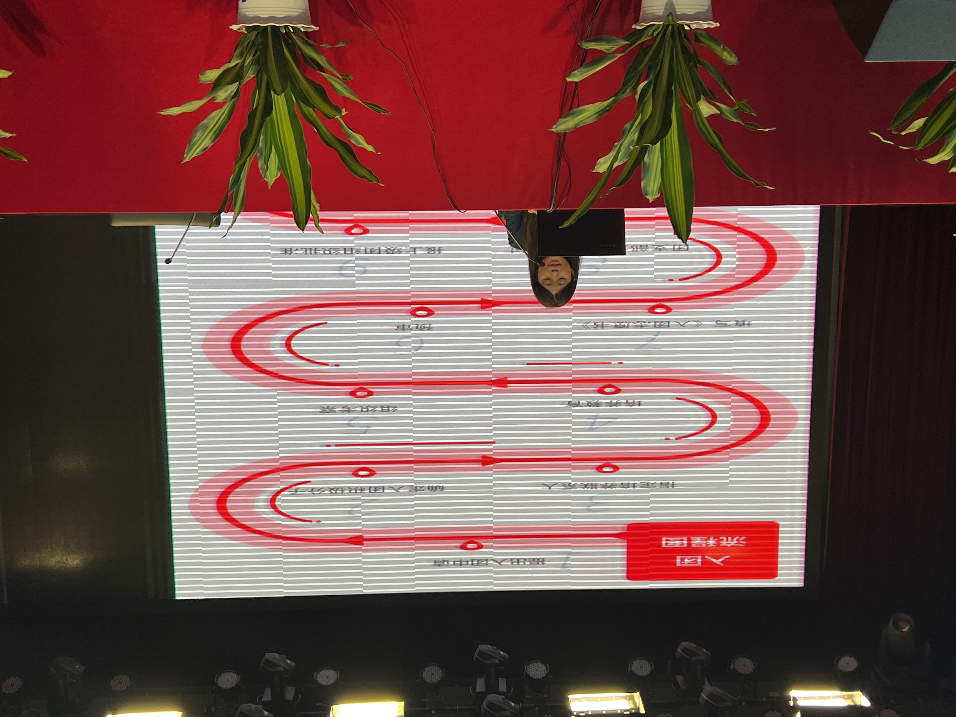 团委赵菲.jpg