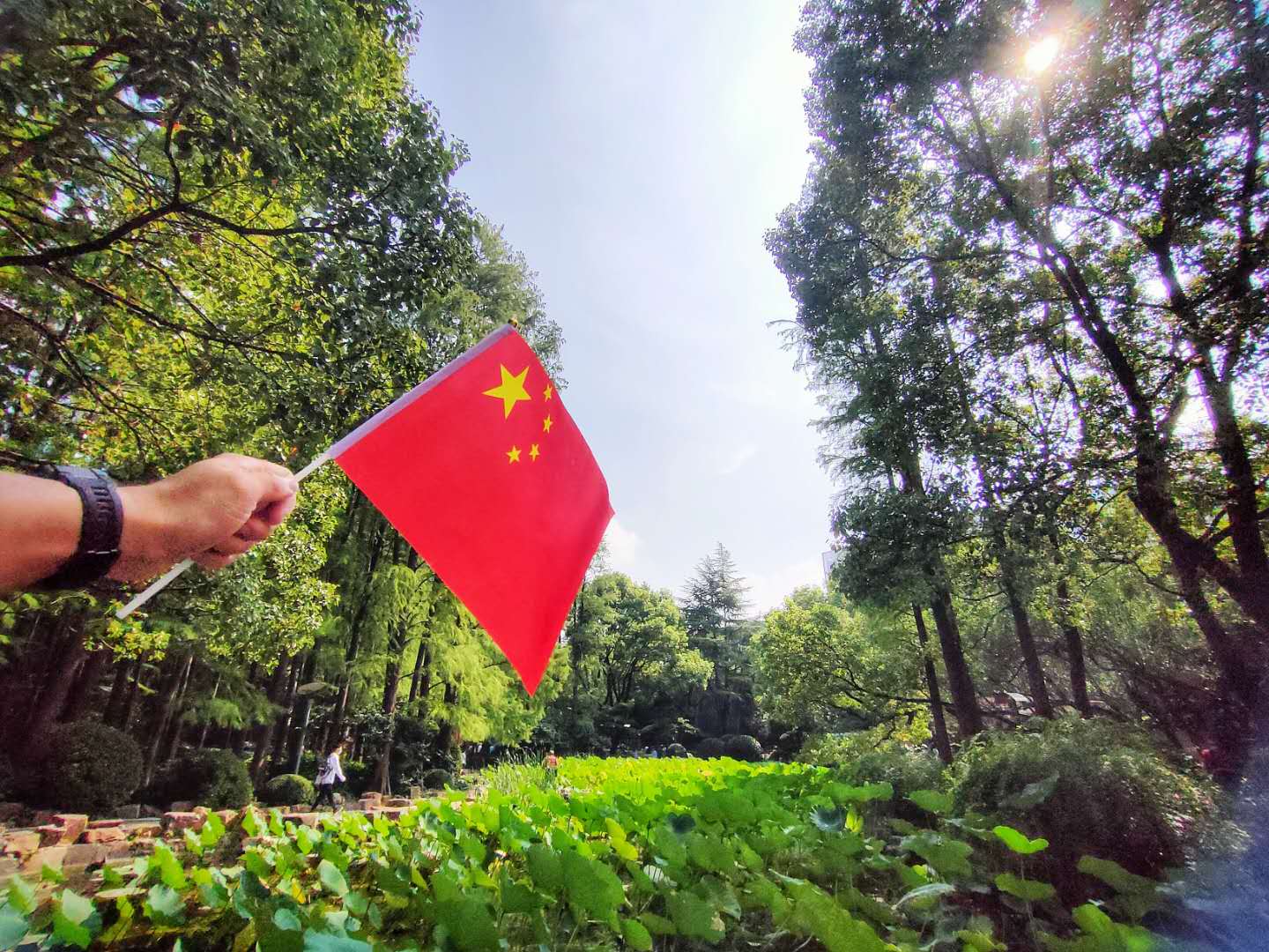 微信图片_20201016132317.jpg